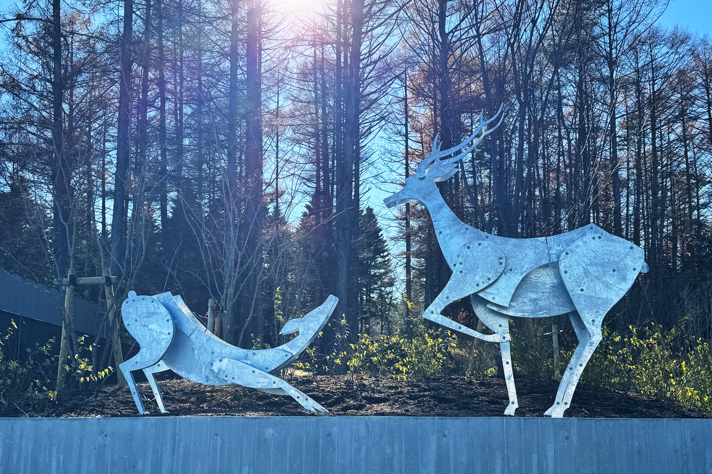 Mt.fuji ジビエ加工センター Dear Deer